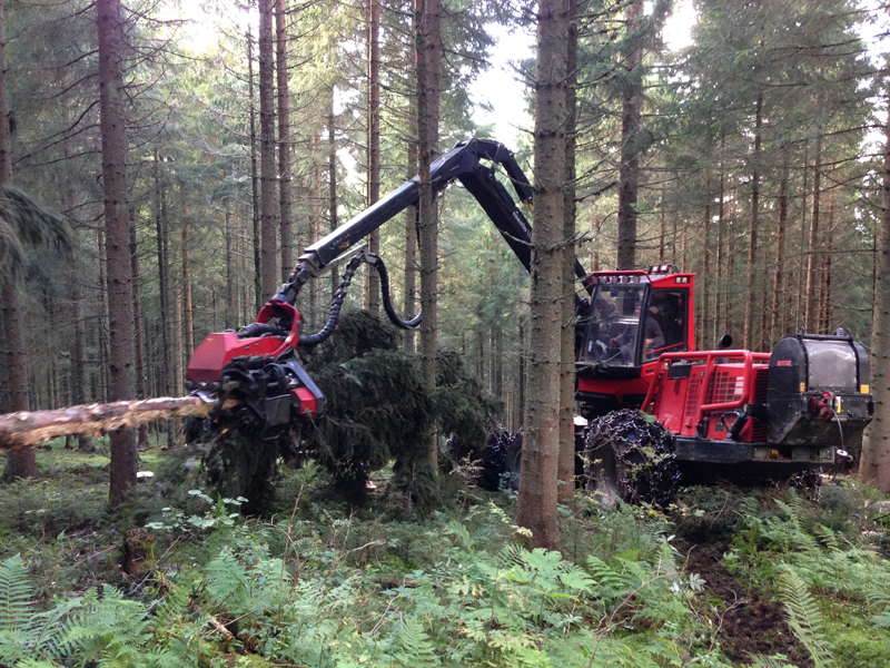 Bild Holzernte Steilhang