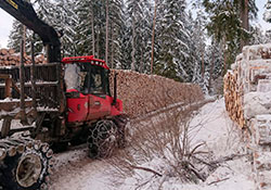 Forstbetrieb Kleiser