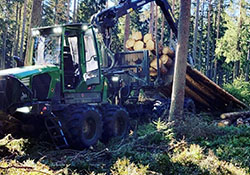 Forstbetrieb Kleiser