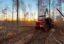 Forstbetrieb Kleiser