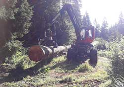 Forstbetrieb Kleiser