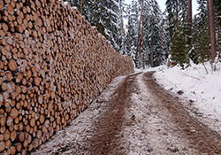 Forstbetrieb Kleiser