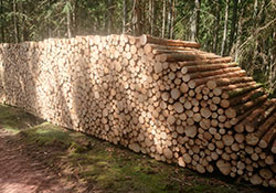 Forstbetrieb Kleiser