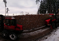 Forstbetrieb Kleiser