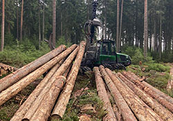 Forstbetrieb Kleiser