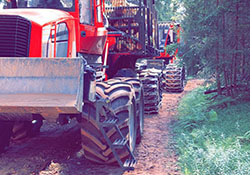 Forstbetrieb Kleiser