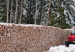 Forstbetrieb Kleiser