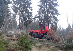 Forstbetrieb Kleiser