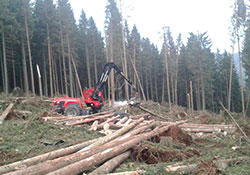 Forstbetrieb Kleiser