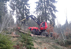 Forstbetrieb Kleiser