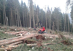 Forstbetrieb Kleiser