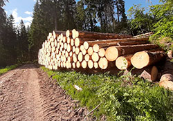 Forstbetrieb Kleiser