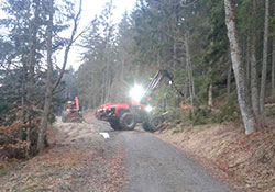 Forstbetrieb Kleiser