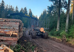 Forstbetrieb Kleiser