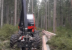 Forstbetrieb Kleiser