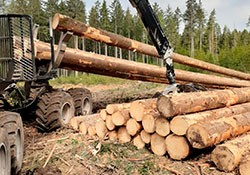 Forstbetrieb Kleiser