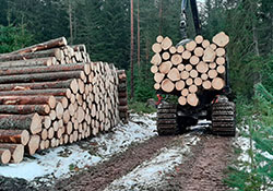 Forstbetrieb Kleiser