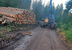 Forstbetrieb Kleiser