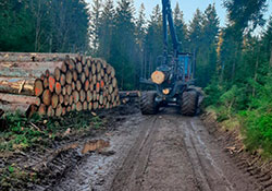 Forstbetrieb Kleiser