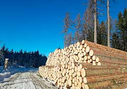 Forstbetrieb Kleiser